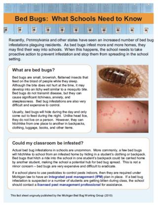 Flyer about bed bugs