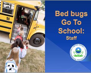 Children bringing bed bugs to school on a bus