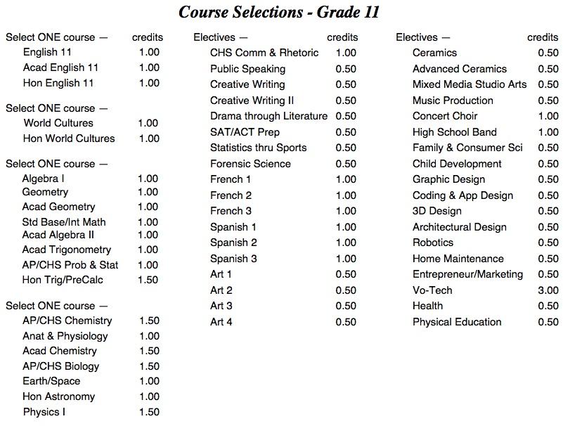 Course Selections for Grade 11